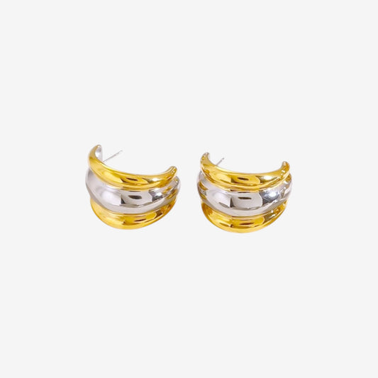 Layered Gold and Silver Earrings